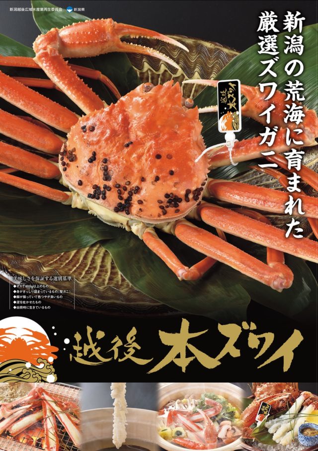 ポスター