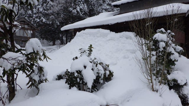 雪が積もった家