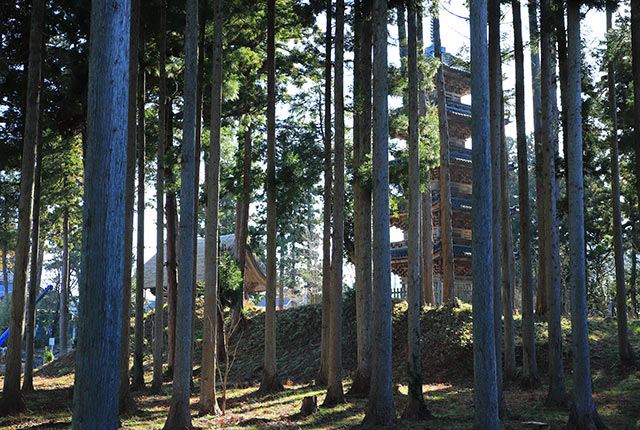 木々の隙間から見える五重塔