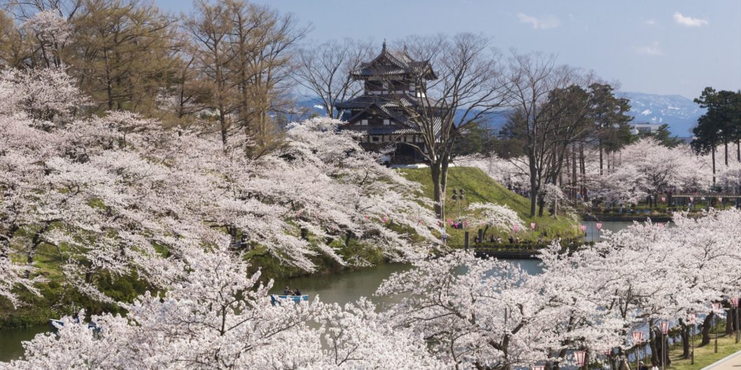高田城三重櫓。春には高田城百万人観桜会の会場としてにぎわいます