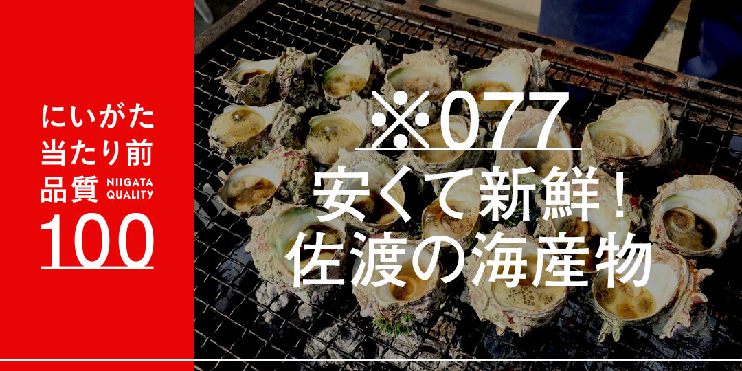 特別送料無料！】 佐渡ヶ島真更川産 活サザエ3k 本日とれたて ￼超