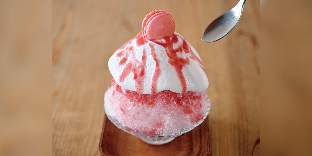 recommend-jimoto-kakigori-terre-et-terra-ec