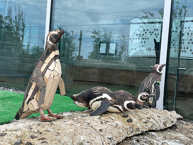 本物のペンギンと並んで展示されたペンギン作品