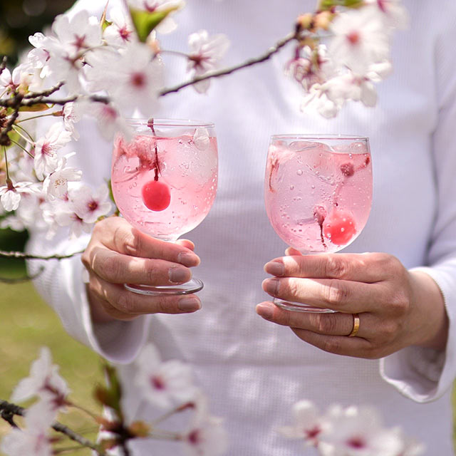 グラスに注がれた桜ソーダ