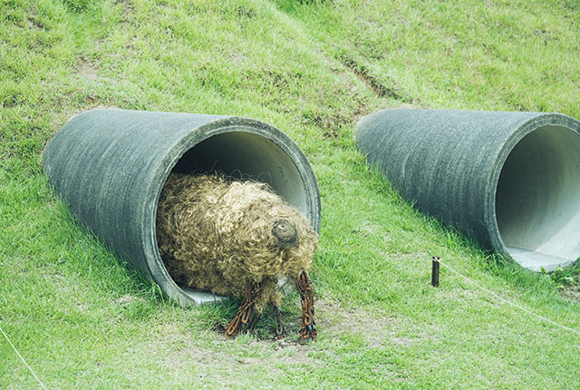 土管から羊のオブジェの尾が出ている