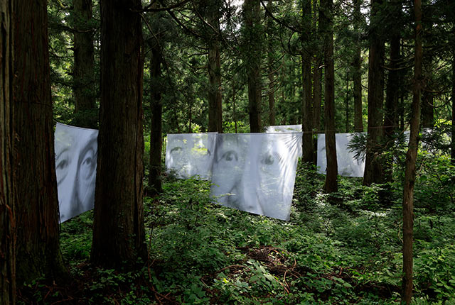 人の顔が大きくプリントされた布を森の中に設置した作品