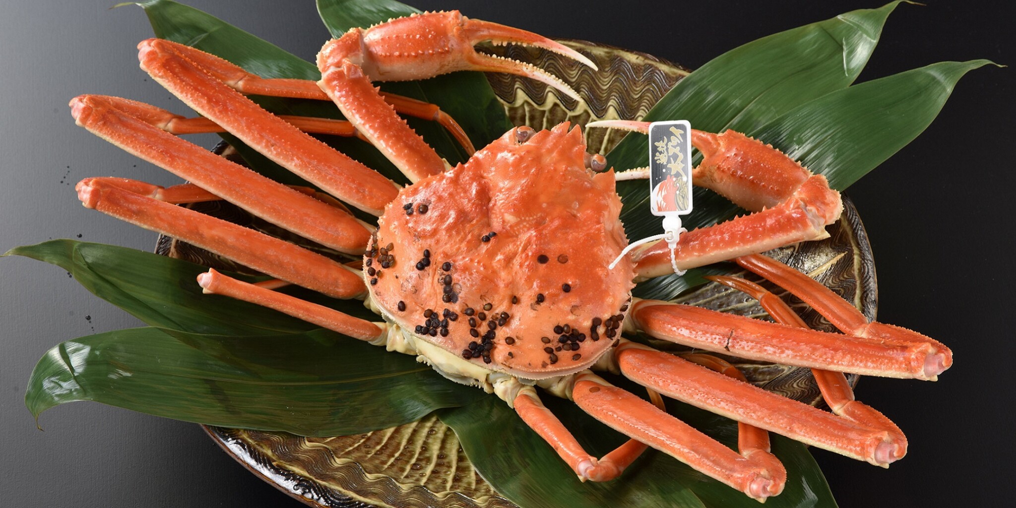 冬の味覚といえばカニ！新潟の「越後本ズワイ」解禁 | 新潟のつかいかた