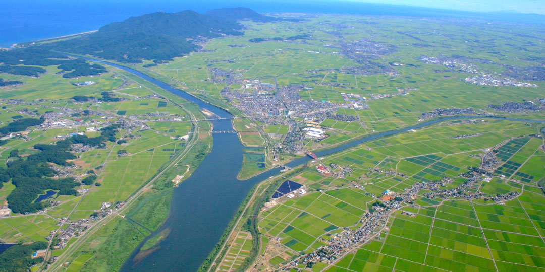 【中古】大河津分水 大一揆 大河津分水 大一揆 中古本・書籍 | ブックオフ公式オンラインストア