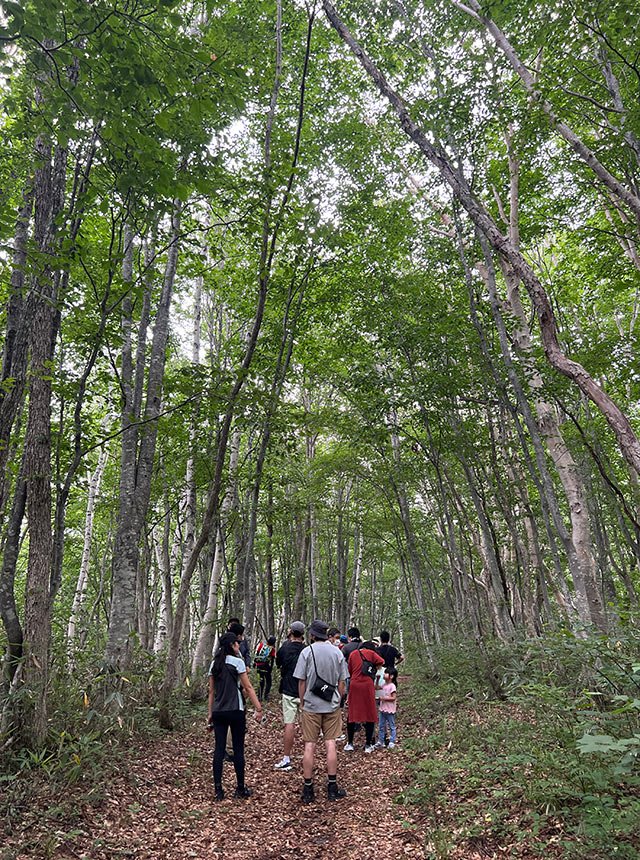 森の中を歩くファミリーワーケーション参加者たち