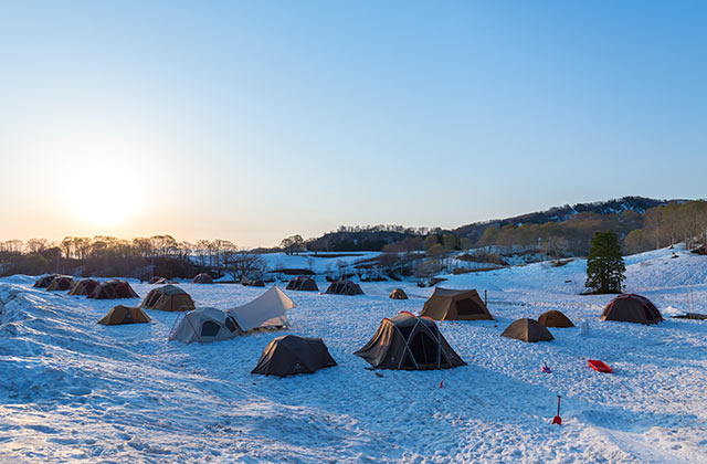 雪原にたくさんのキャンプテントが並んでいる