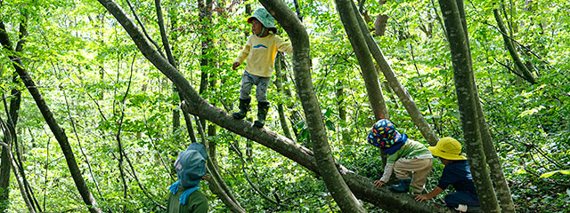木登りをする子どもたち