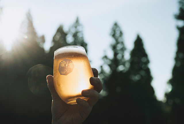 クラフトビールの入ったグラスが太陽の光で輝いている