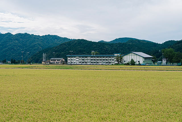 糸魚川市の田園風景