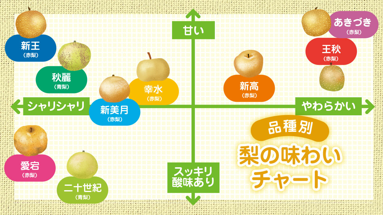 イラスト図表「品種別・梨の味わいチャート」