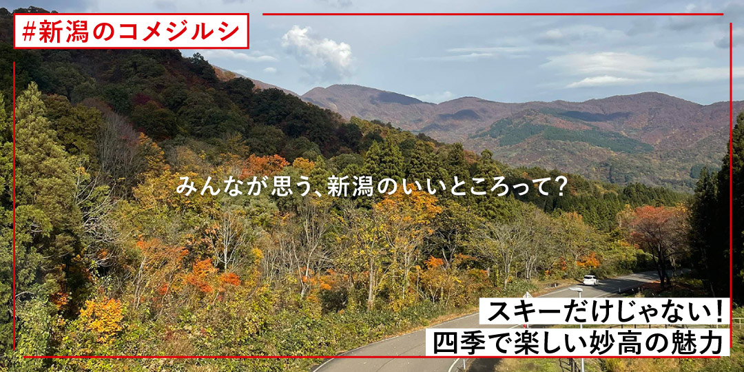 feature_nnk_22