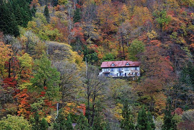 紅葉で色づいた山の中に建つ川津屋
