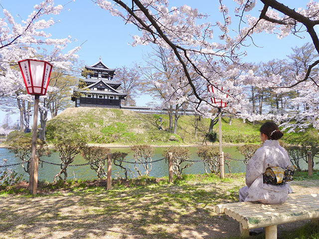 高田城をバックに桜の木の下でベンチに座る女性