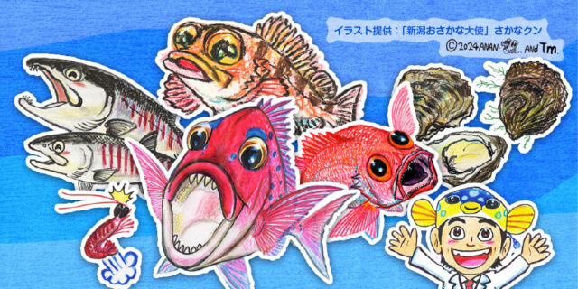 新潟県お魚カレンダー 春夏秋冬、新潟の旬の魚はコレ！
