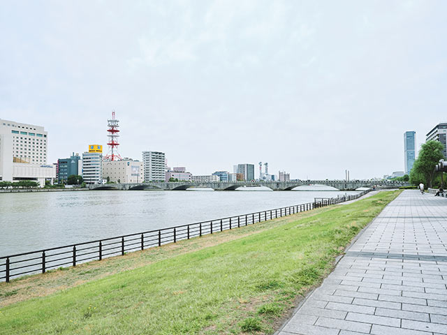 〈やすらぎ堤緑地〉から萬代橋を眺める