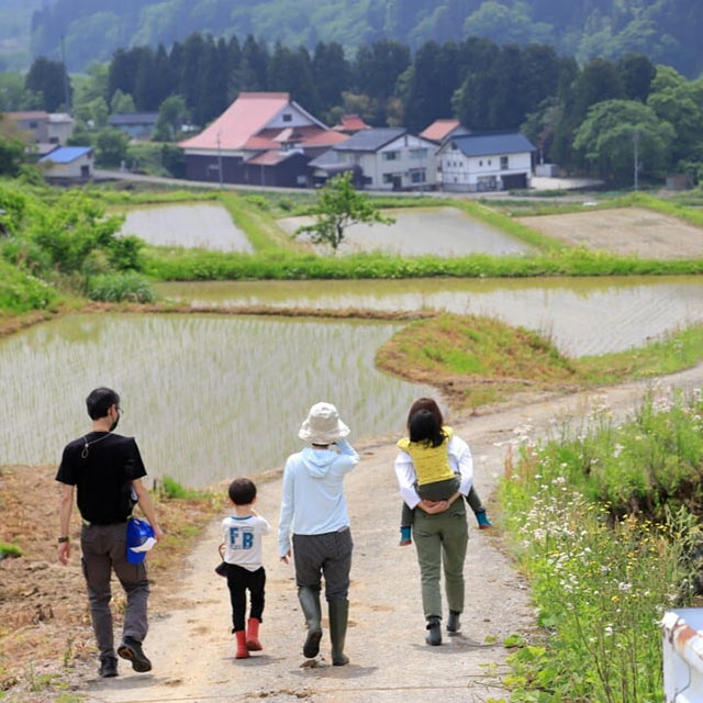 農村のあぜ道を歩く家族の後ろ姿