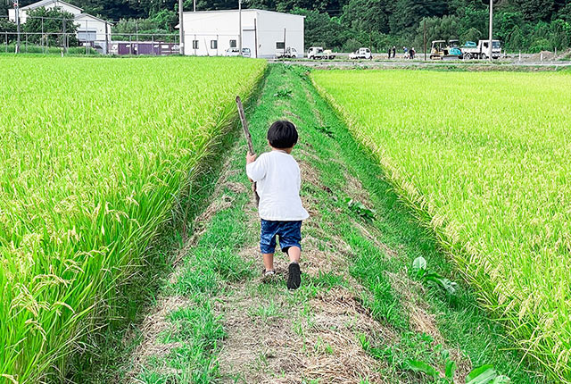 あぜ道を歩く男の子