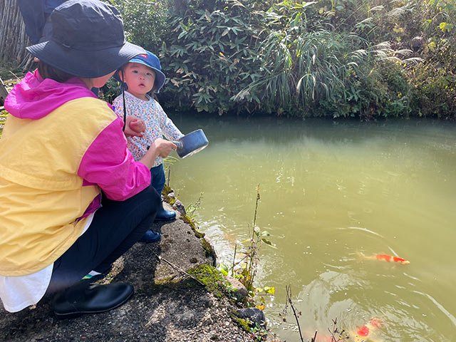 池の金魚に餌をあげるこども