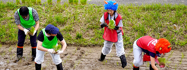 佐渡の歌見で行われた「鬼の田植え」の様子