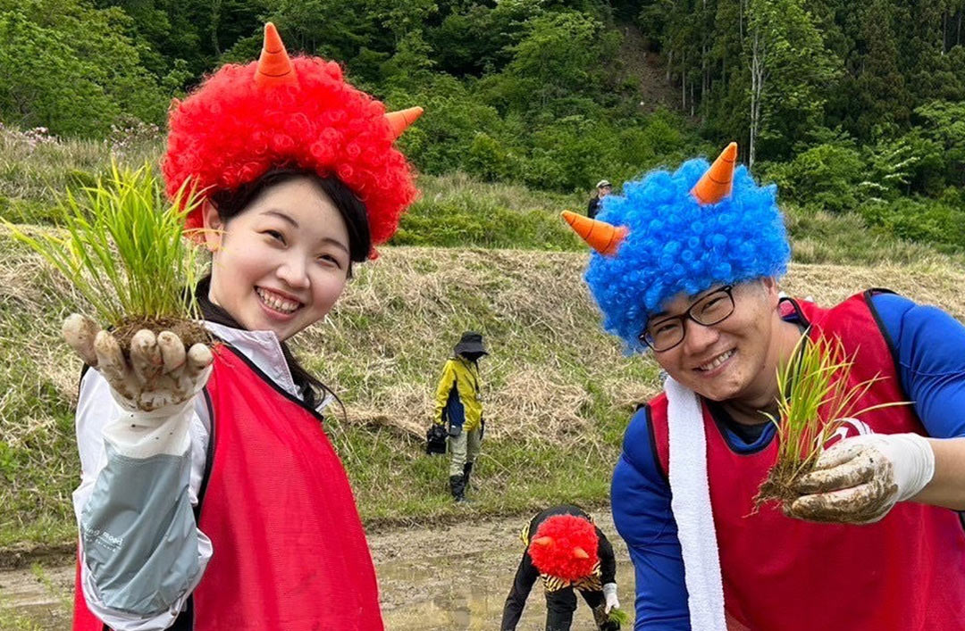 里山の風景を後世に残そう！ 日本一の棚田県・新潟が推進する〈棚田