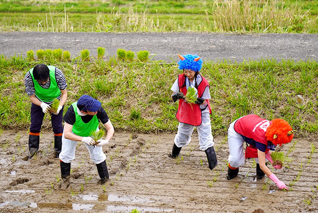 鬼に扮した参加者が田植えをしている