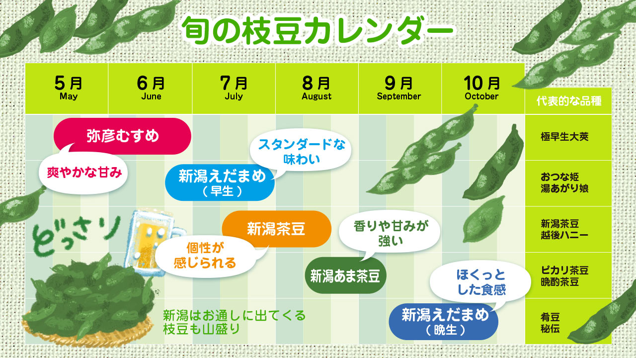 新潟産枝豆の品種ごとの旬を解説した図表