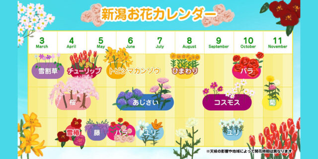 豪華絢爛、見どころたっぷり！ 新潟季節の花めぐりカレンダー