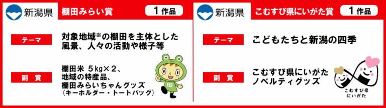 スライド11
