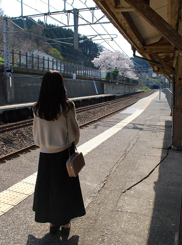 えちごトキめき鉄道の有間川駅のホームから桜が見える