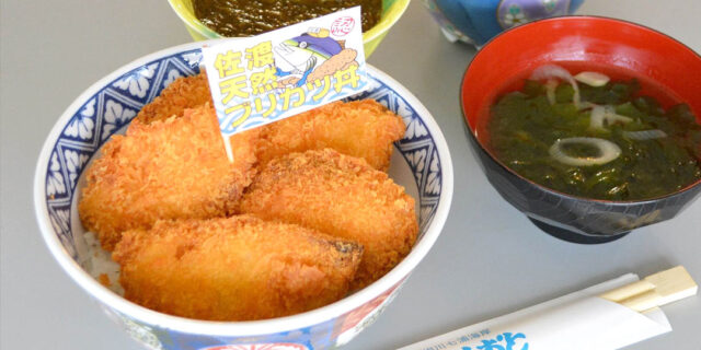これぞ贅沢の極み！ 〈めおと岩観光〉で味わう「天然ブリカツ丼」