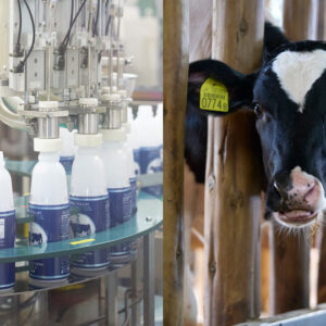 feature-honmono4-007-ec feature-honmono4-007-ec