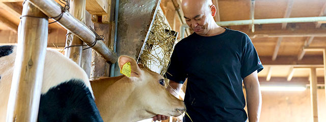 仔牛をなでる豊広さん