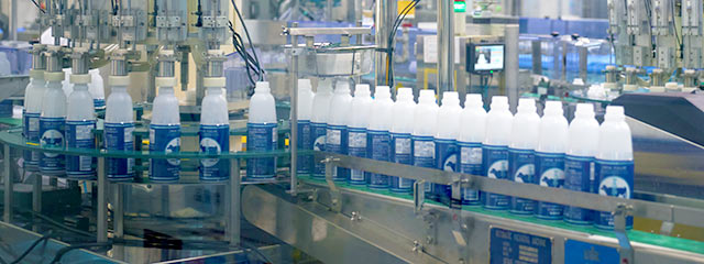 ヤスダヨーグルトの生産工場の内部で、ボトルがたくさん流れている