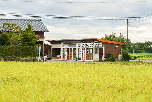 田んぼの景色の中に〈みるぱす〉が見えてきた