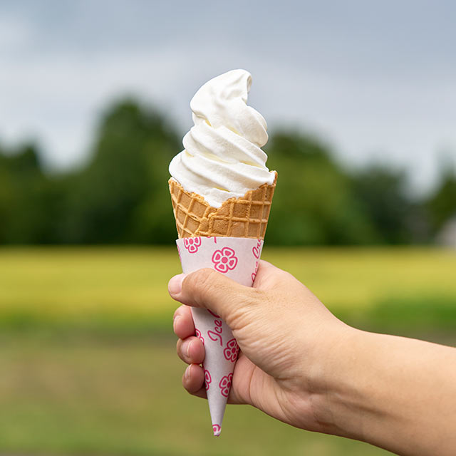 〈みるぱす〉で購入したソフトクリーム