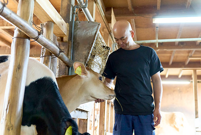 仔牛の喉をさする豊広さん