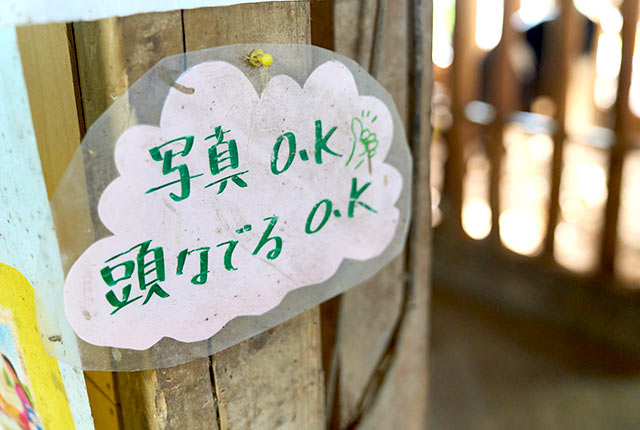 「写真OK 頭なでるOK」と書かれたプレート