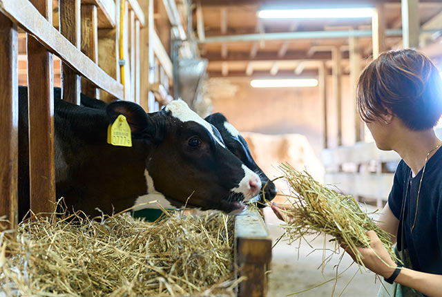 取材チームが餌やり体験中