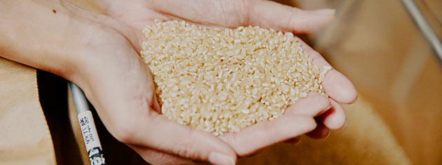 収穫したお米を両手ですくっている