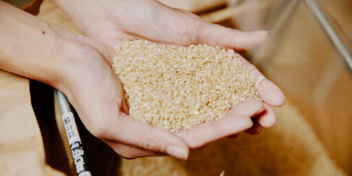 spot-agriculture-006-paged2