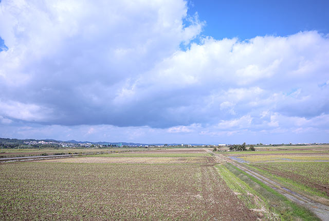 〈お米となかよしパーク〉裏手の田園風景