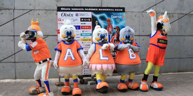 サムネ_新井さん