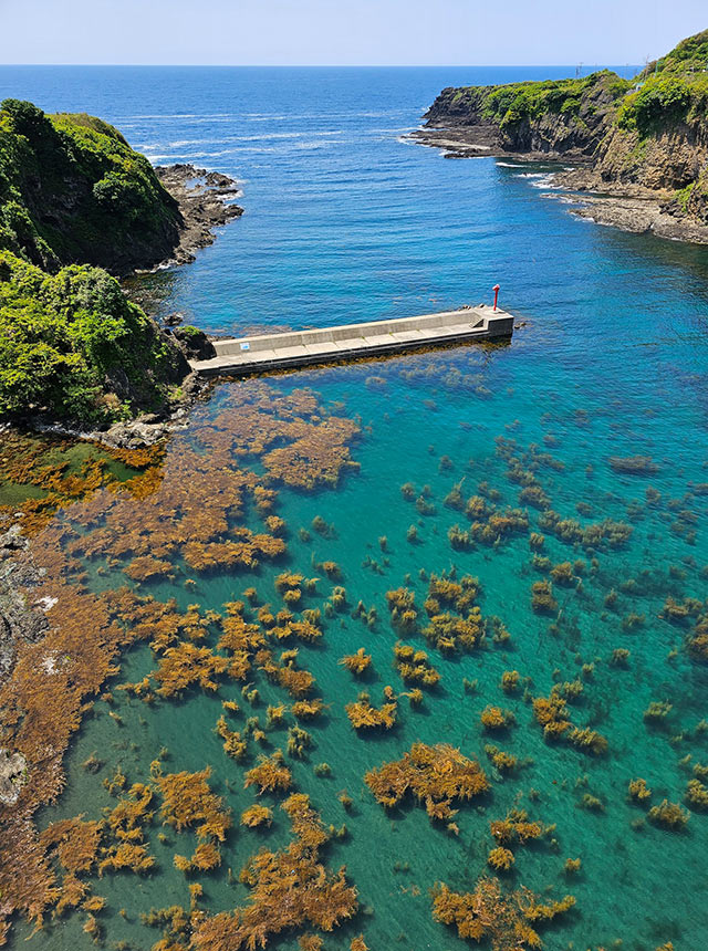 長者ヶ橋から見下ろした佐渡の青い海