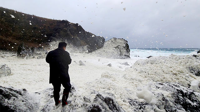 雪のように「波の花」が海岸を覆っている