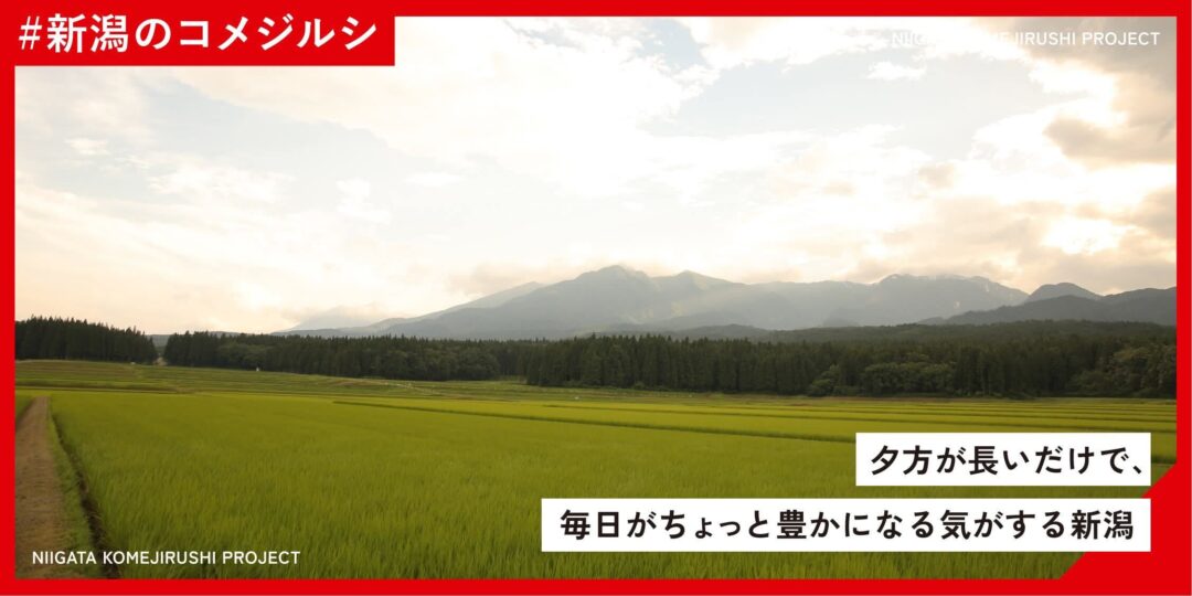 27c222924f57e2d6a1be6f291425aea4