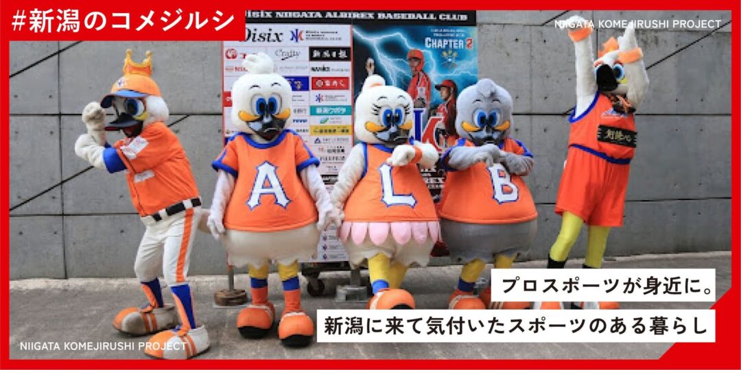 2483d054d90407d4d332a03ce806b80f